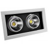 Plafonnier 2 Projecteurs Orientables - 2500 LM - 40